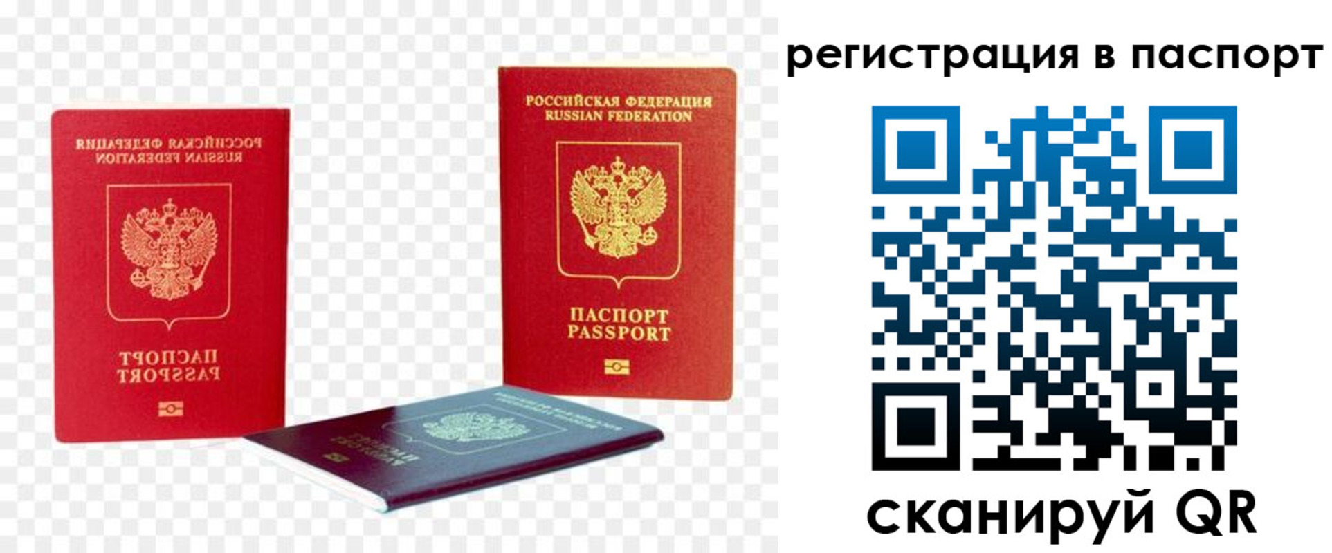 прописка от собственника в Долгопрудном